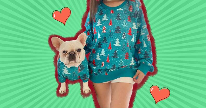 Matching christmas hot sale sweaters with dog