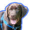 Barkley