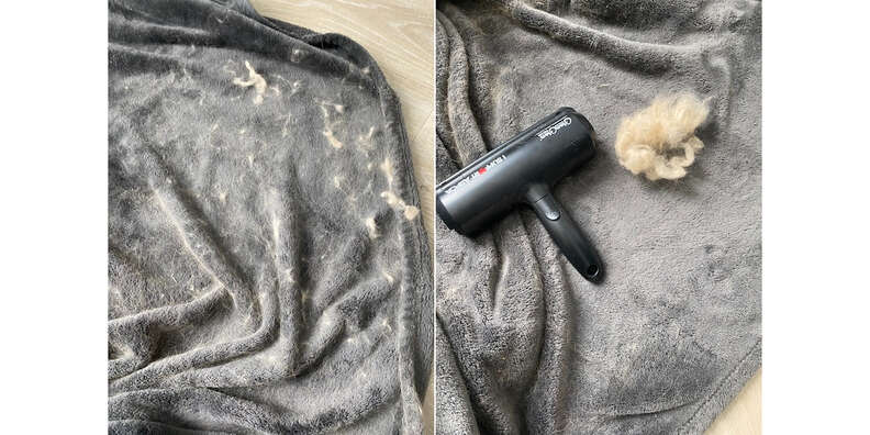 ChomChom Roller Reviews Does It Work Paw of Approval The Dodo