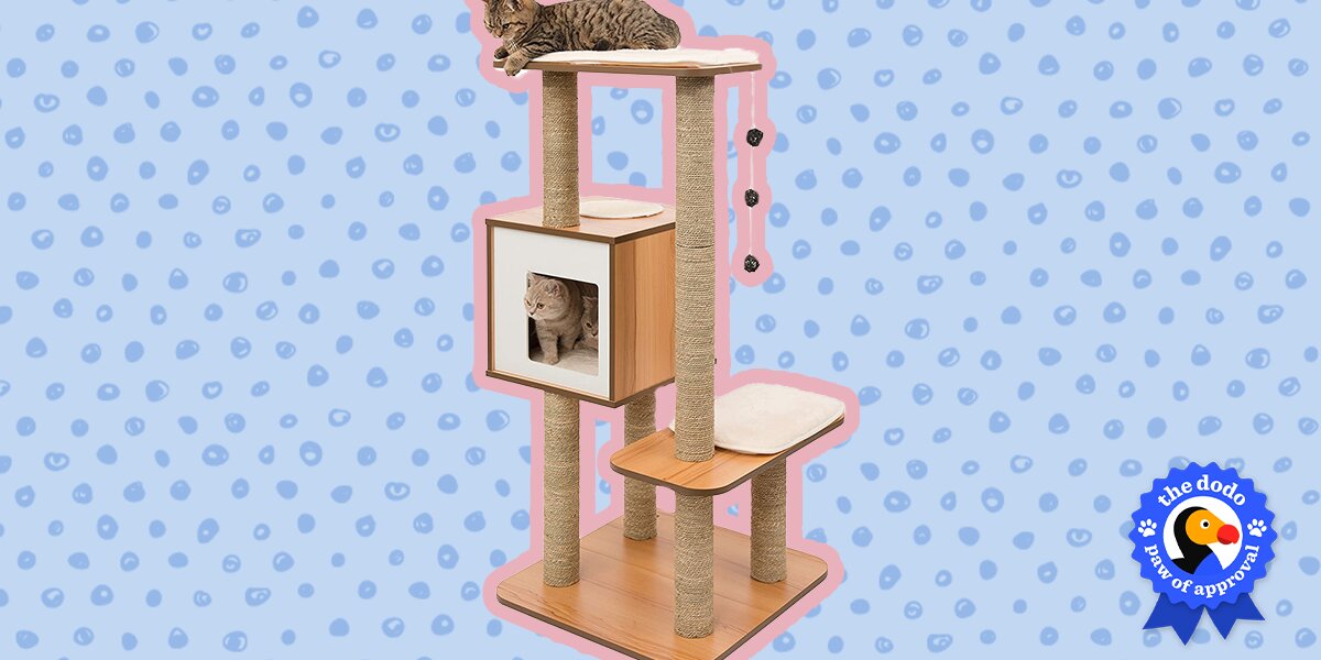 Vesper high base cat hot sale tree