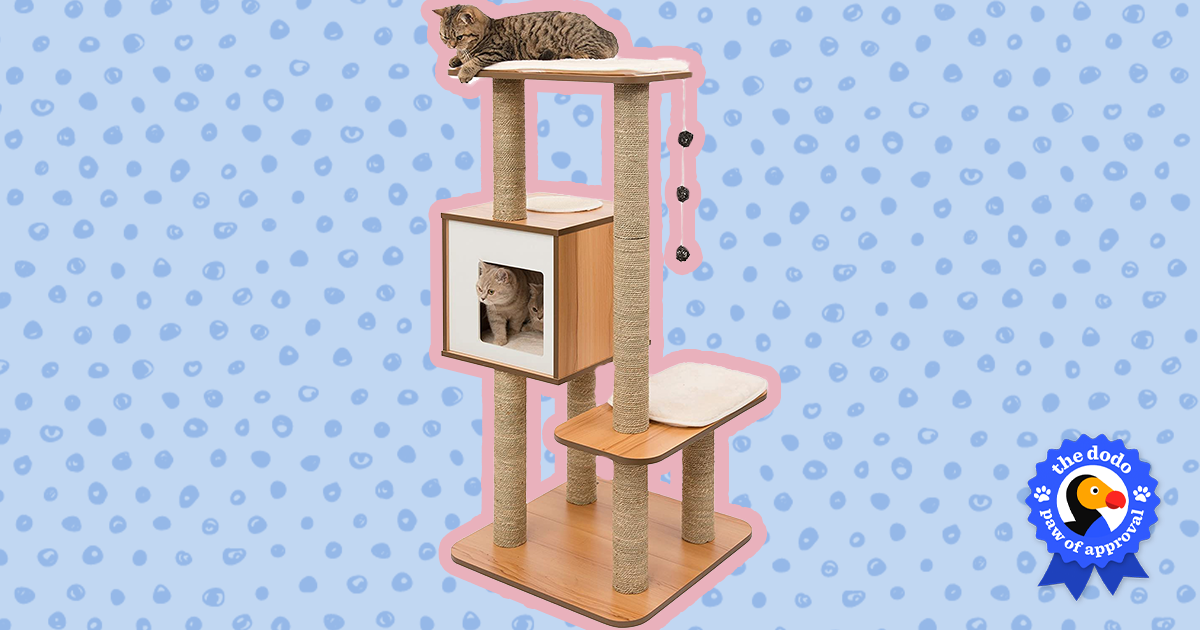 Vesper cat shop tree review