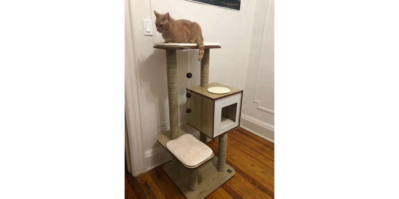 Vesper v base outlet cat furniture