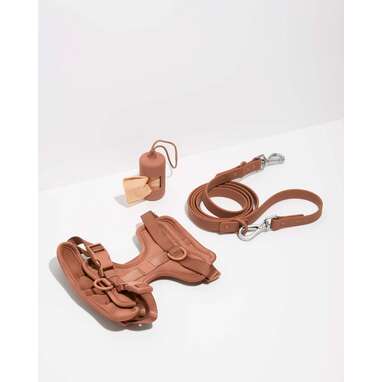 Wild One Harness Walk Kit
