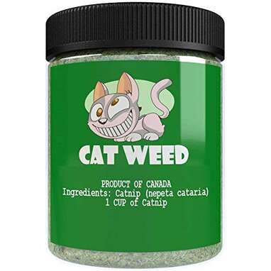 Cat Weed Catnip