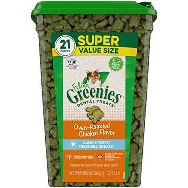 Greenies Feline Natural Dental Care Cat Treats