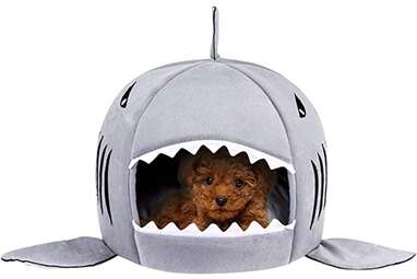 Washable Shark Covered Cave House