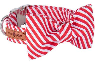 Lionet Paws Christmas Dog Collar with Bowtie