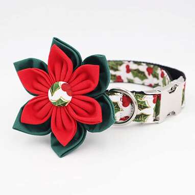 Free Sunday Christmas Dog Collar with Flower