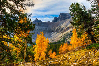 fall in nevada