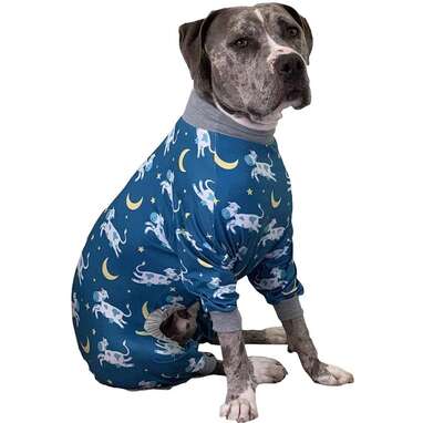 Tooth and Honey Pit Bull Pajamas