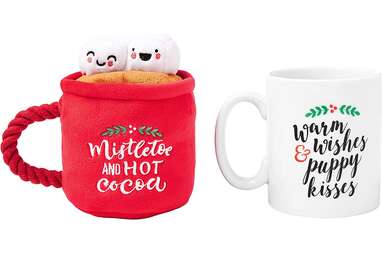 Christmas Toy and Mug Set