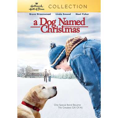 A Dog Named Christmas | Prime Video