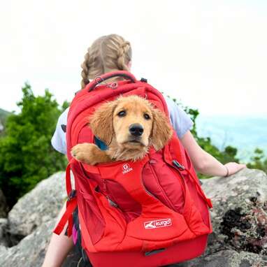 Dog Backpack for Small Dogs