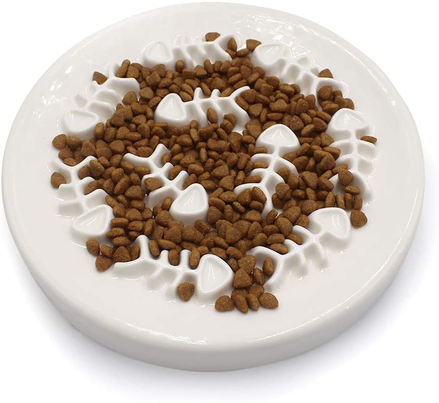 Cat food bowl cheap for fast eaters