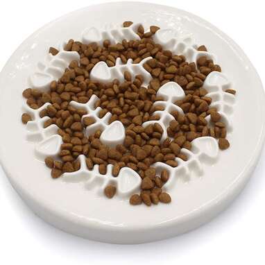 Best cat slow feeder 2024 bowl