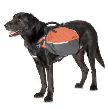 The 5 Best Dog Backpacks: Dog Saddlebags For Hiking And Camping ...