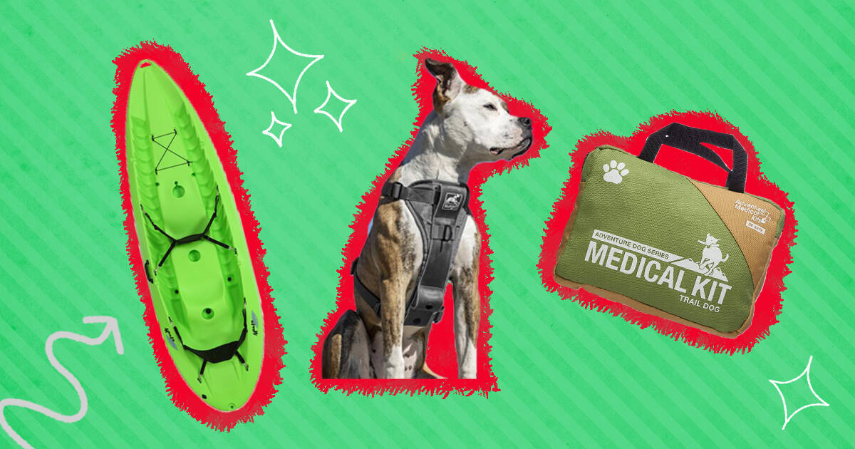 4 Best Dog Backpack Carriers For Hiking And Travel Adventures With Your Pup  - DodoWell - The Dodo