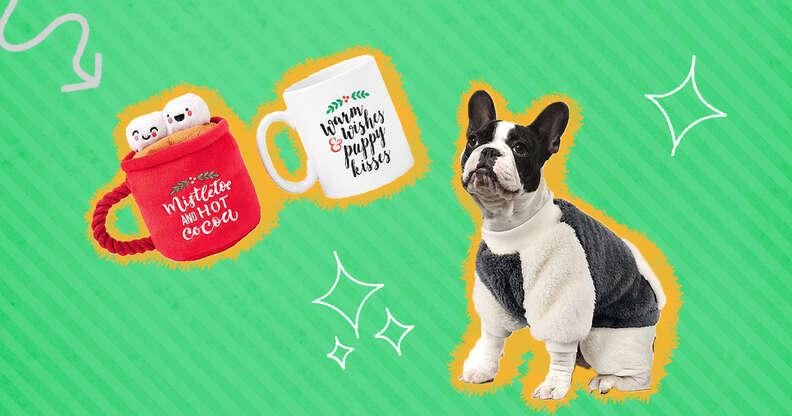 10 Gifts For Someone Who Just Adopted A New Dog - DodoWell - The Dodo