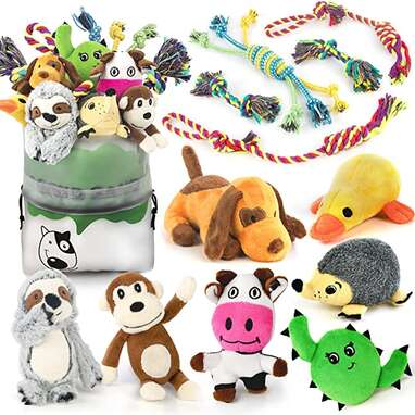 Dog Squeaky Toys for Small Dogs