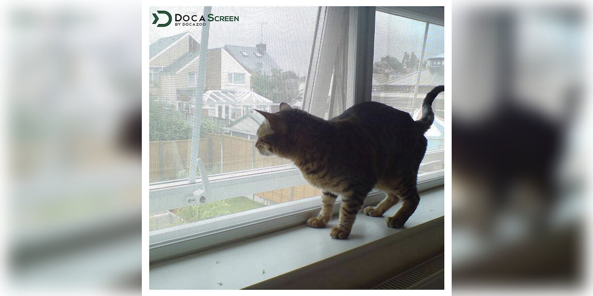 Window screen 2025 guard for cats