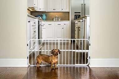 Carlson Pet Products Lil Tuffy Metal Gate