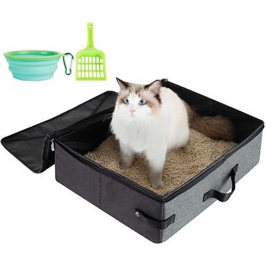 travel litter box