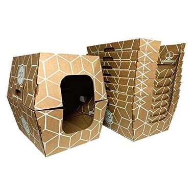 Disposable cat litter box for travel best sale