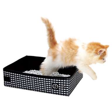 travel litter box for kittens