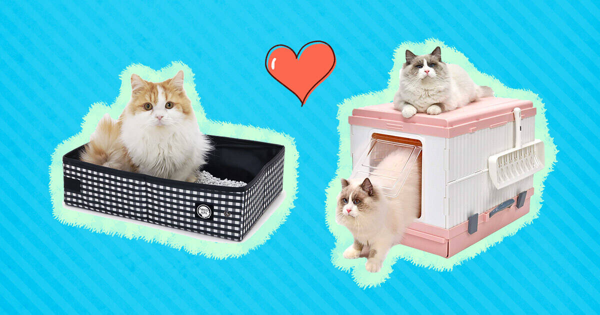 6 Best Travel Litter Boxes - DodoWell - The Dodo