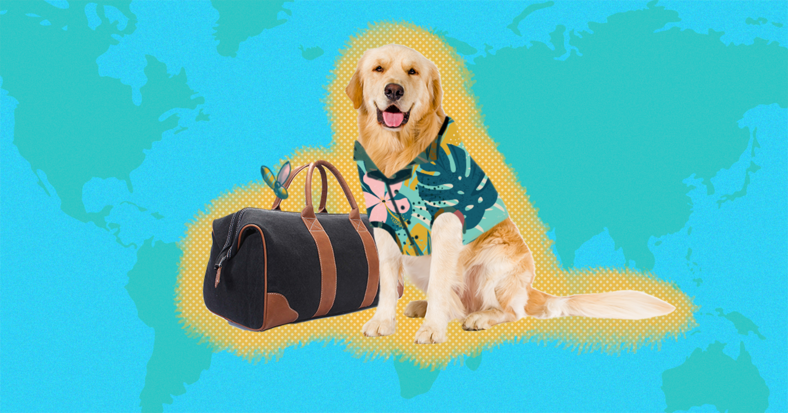 10 Dog Friendly Vacations For The Ultimate Adventure DodoWell The Dodo