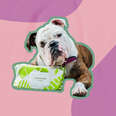 earth rated compostable wipes