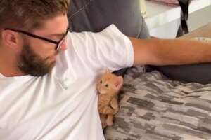 Tiny Foster Kitten Becomes King Of His House