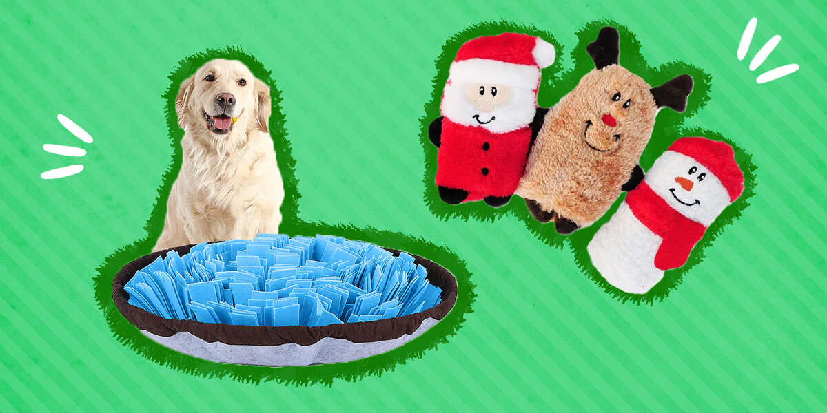 34 Cheapest Christmas Gifts for Dogs That Won't Break Your Budget