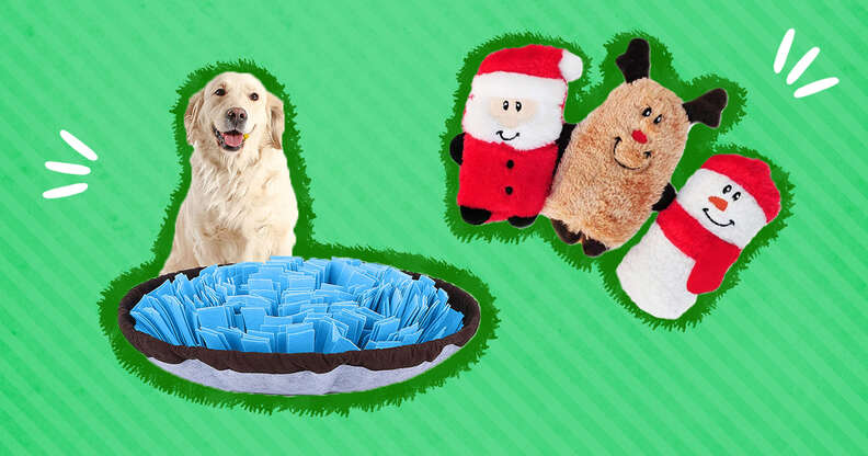 The Best Christmas Gifts & Toys for Dogs