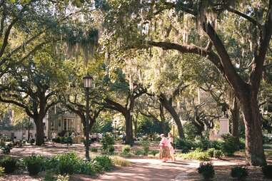people strolling beneath Spanish moss-covered trees