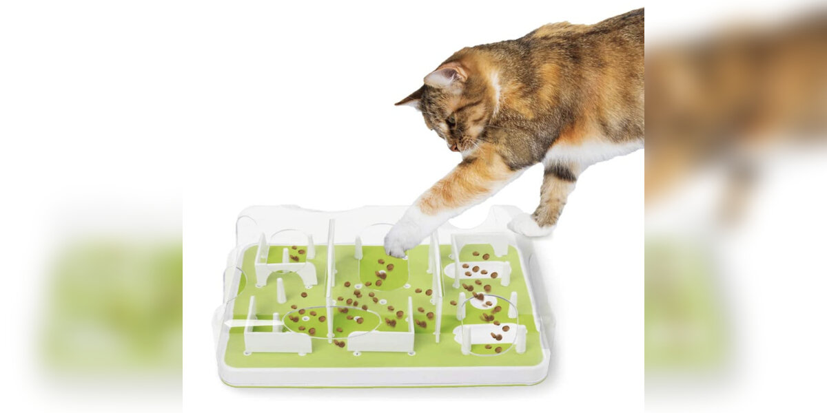 Catit Play Slow feeder Cat food Treat puzzle interactive play game