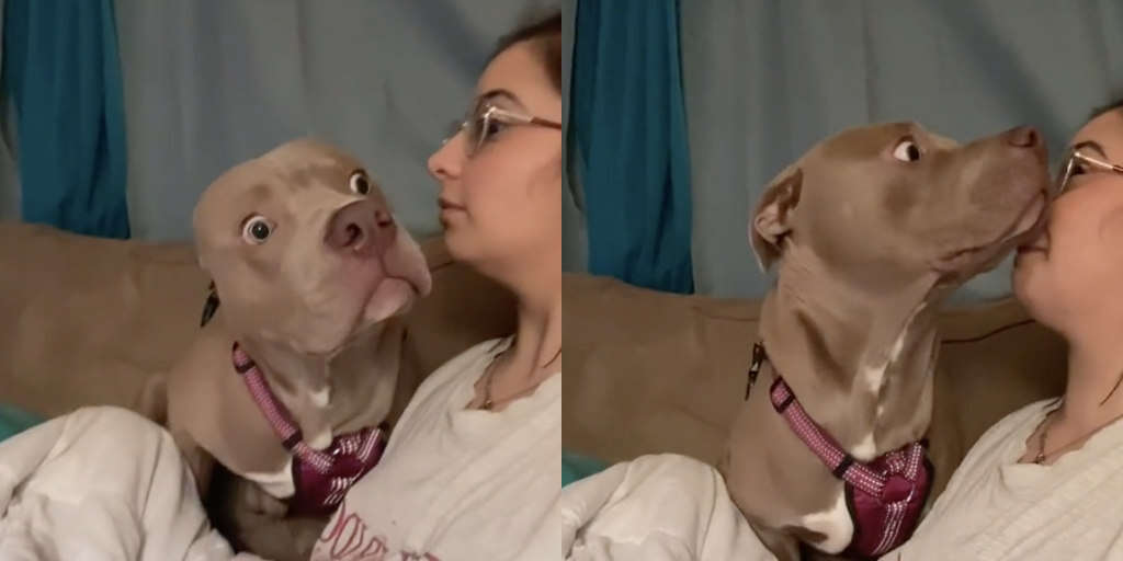 Dog Has The Best Reaction When Mom Barks At Her - The Dodo