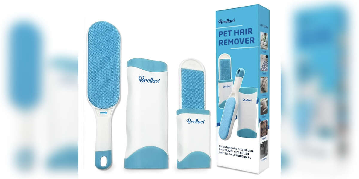 6 Best Dog Hair Removers On Amazon DodoWell The Dodo