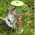 Chubby Squirrel Is Full Of Seeds And Regret After Getting Stuck In Bird Feeder