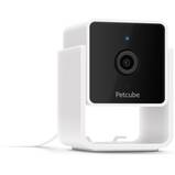 PETCUBE HD Camera