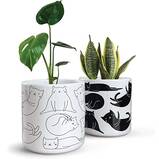 Carlton Lane Cat Planters - Set of 2