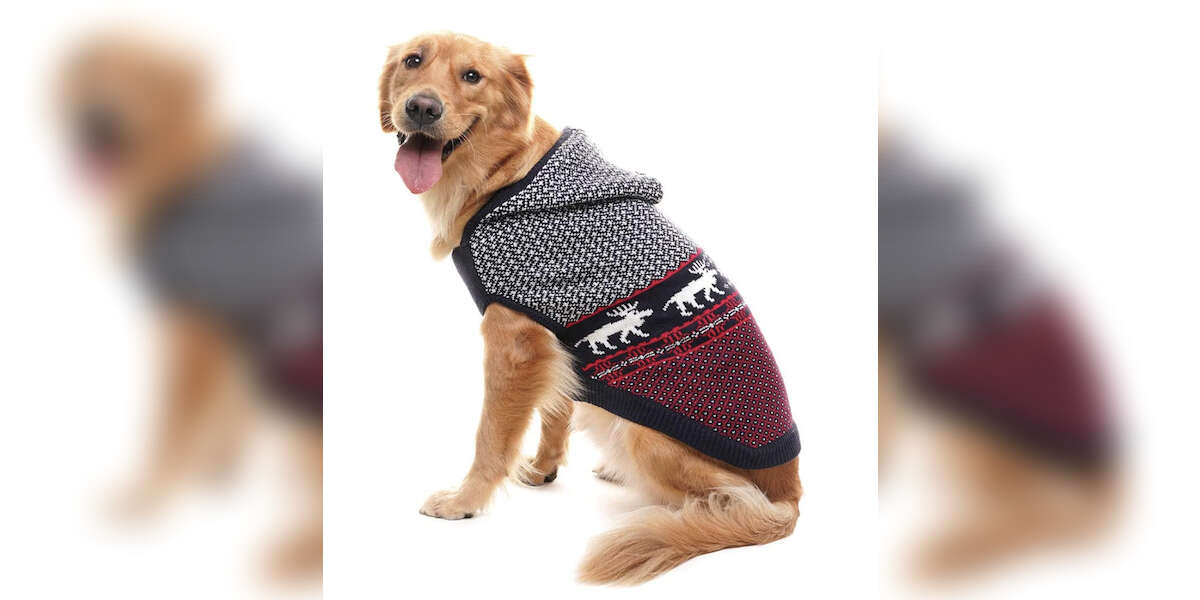 10 Best Dog Christmas Sweaters On Amazon DodoWell The Dodo