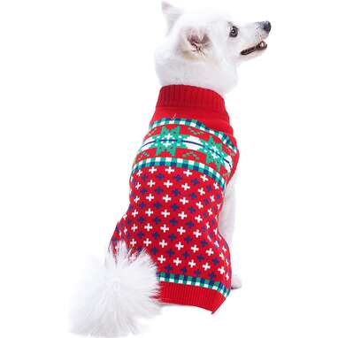 10 Best Dog Christmas Sweaters On Amazon - DodoWell - The Dodo