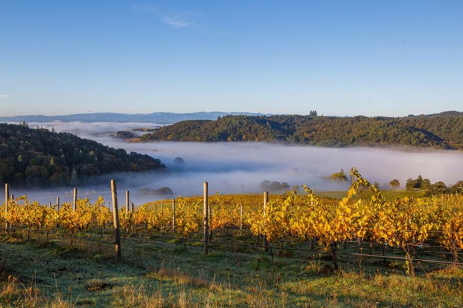 Best Things to Do in McMinnville, Oregon Thrillist