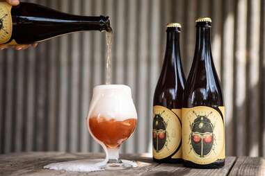 Jester King Brewery austin