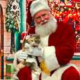 Grumpy Cat Meets Santa For The First Time And Completely Falls In Love