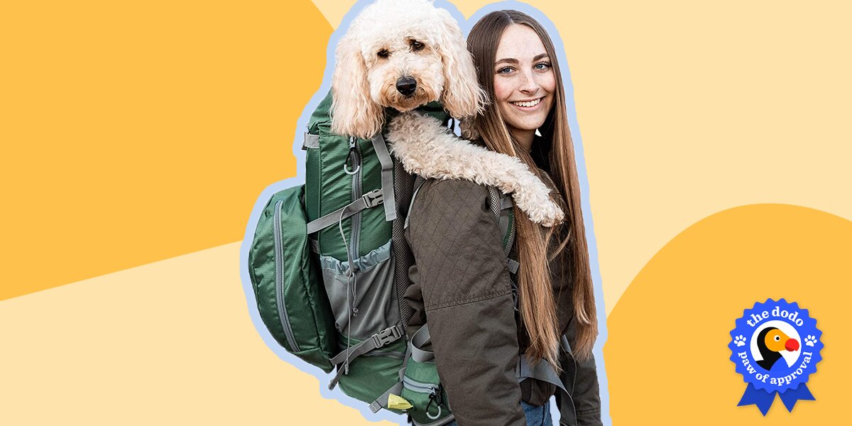 K9 sport sack deals rover