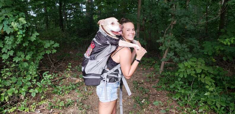 K9 sport top sack rover