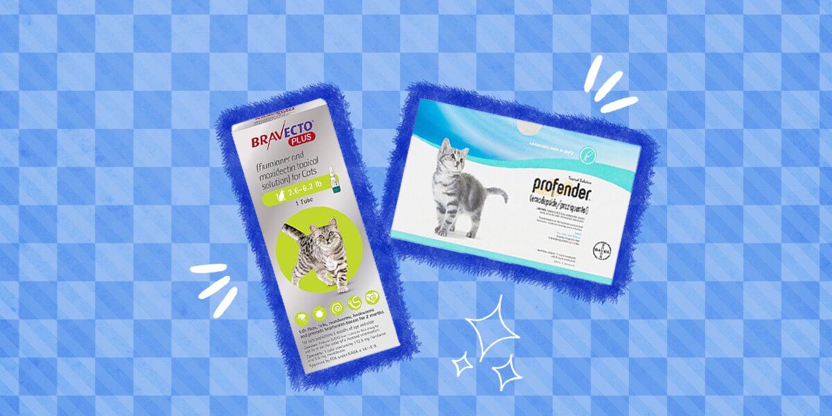 Over the counter treatment for worms in cats hot sale