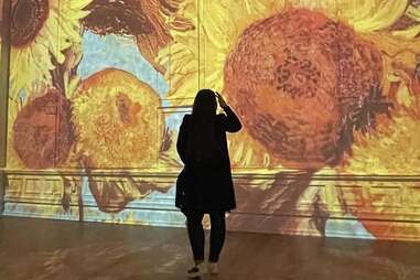 Immersive Van Gogh Exhibit Nashville